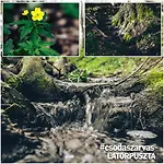 Csodaszarvas Vendeghaz Vakantiehuis Saly