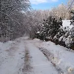 Csodaszarvas Vendeghaz *