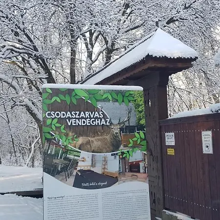 Csodaszarvas Vendeghaz 別荘 *