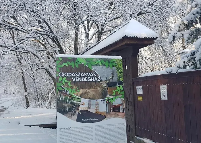 Csodaszarvas Vendeghaz 펜션 *