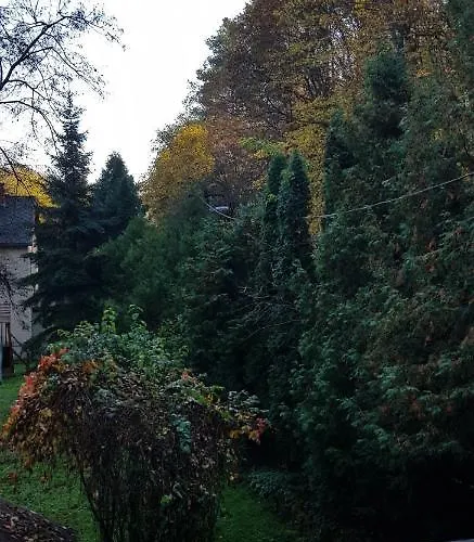 Csodaszarvas Vendeghaz * Saly